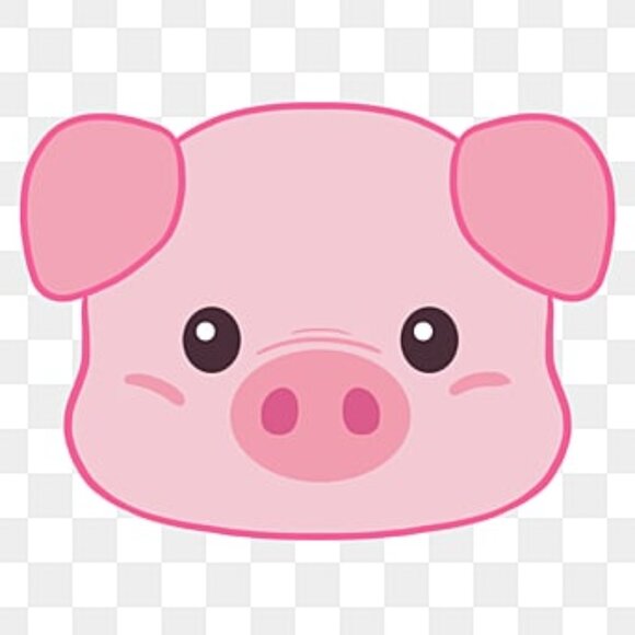 Meet your Posher, Dance Mom - Picture 1 of 1